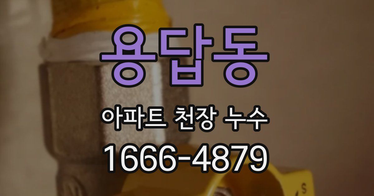 용답동 아파트 천장 누수