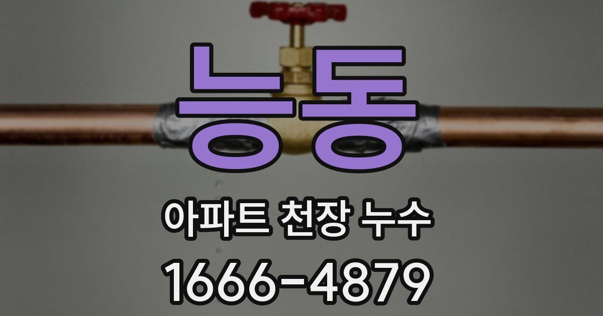 능동 아파트 천장 누수