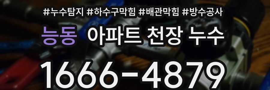 능동 아파트 천장 누수