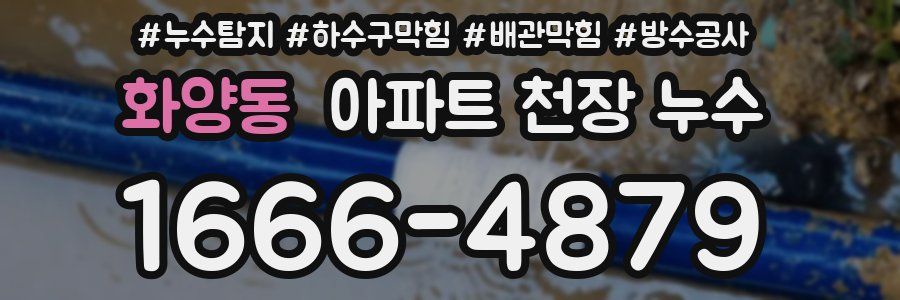 화양동 아파트 천장 누수