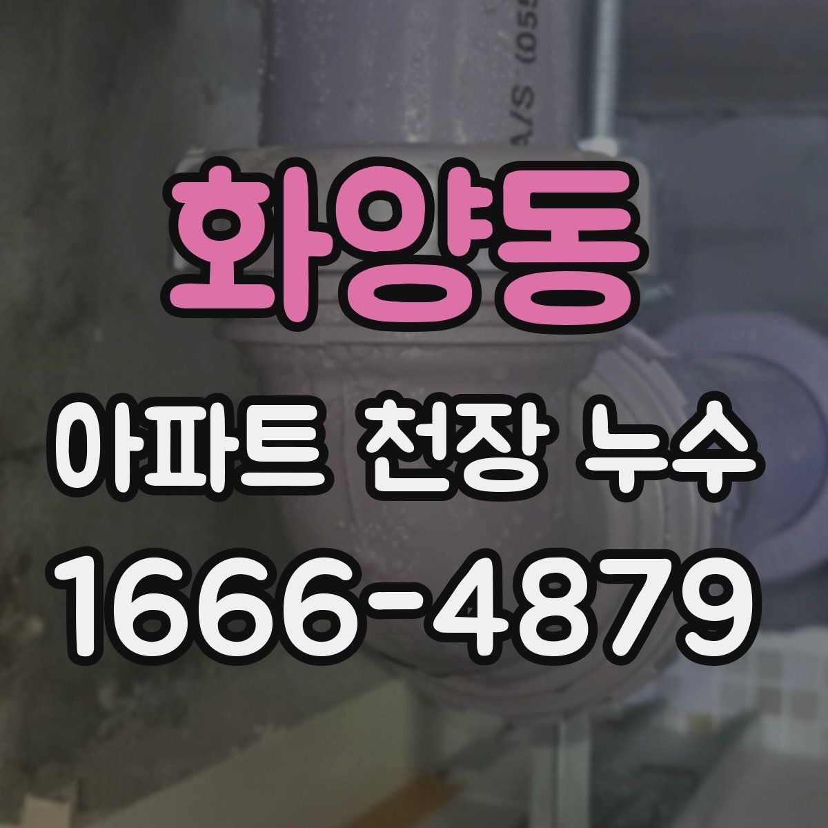 화양동 아파트 천장 누수