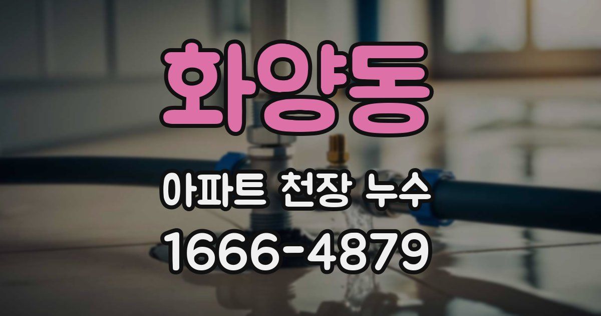 화양동 아파트 천장 누수