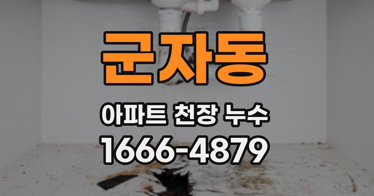 군자동 아파트 천장 누수