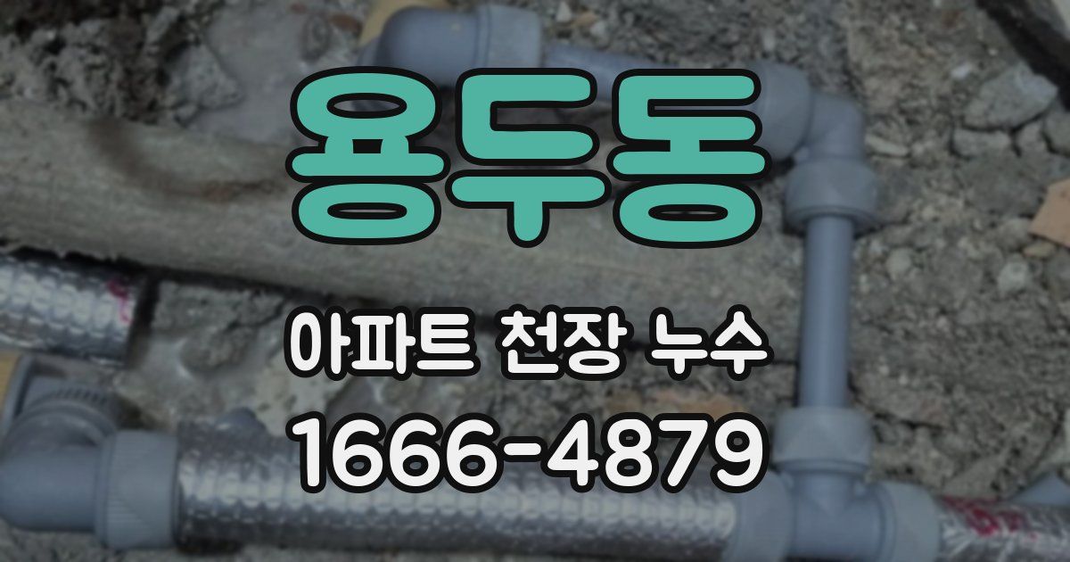 용두동 아파트 천장 누수