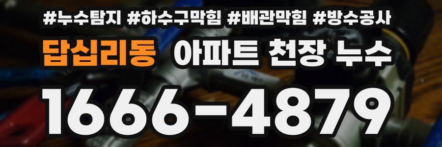 답십리동 아파트 천장 누수