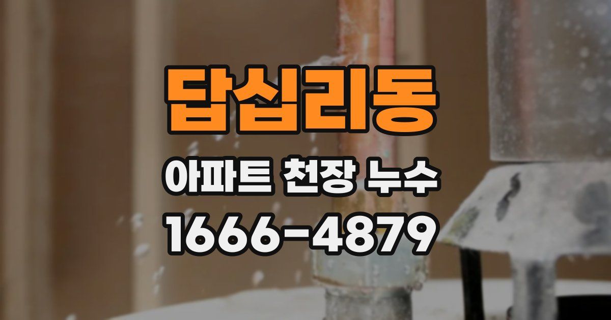 답십리동 아파트 천장 누수