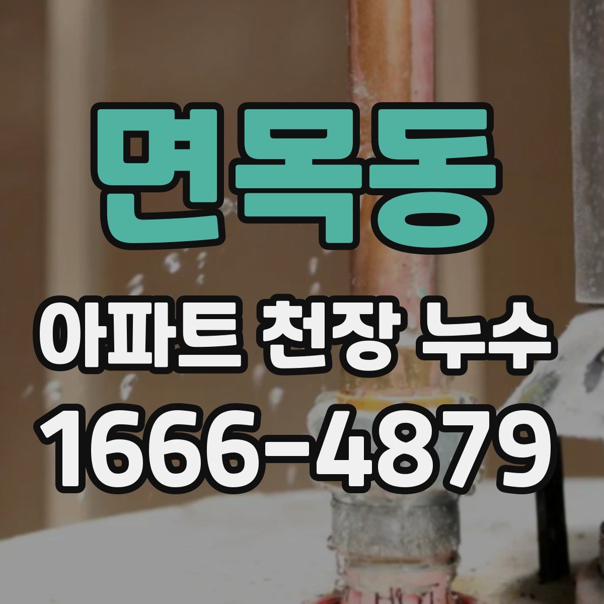 면목동 아파트 천장 누수