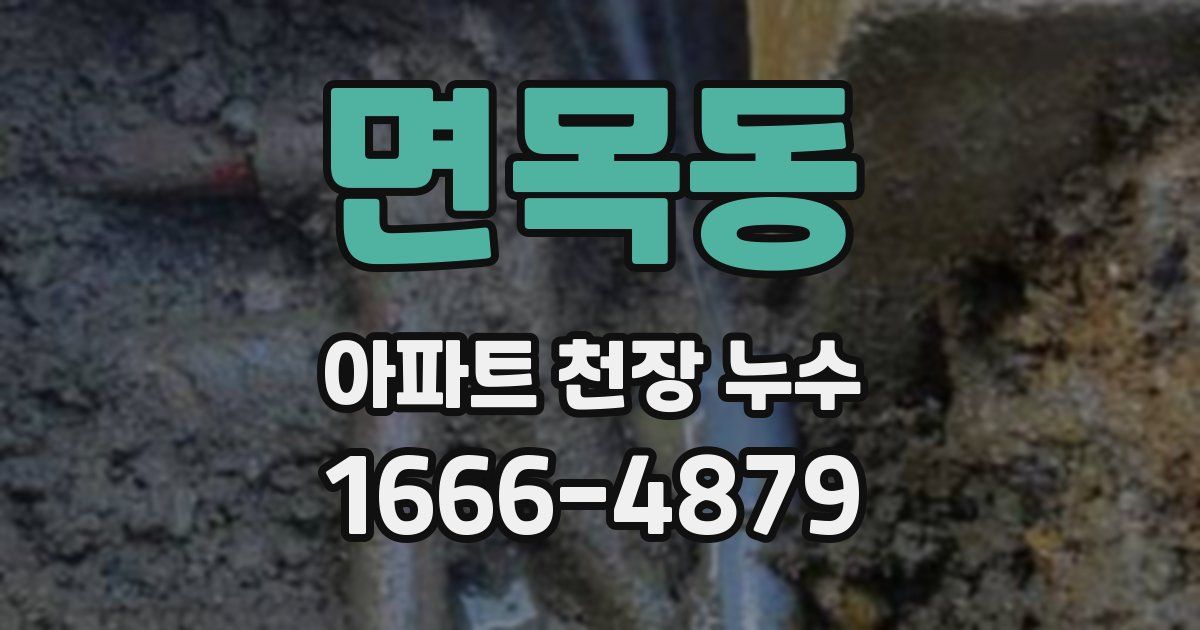 면목동 아파트 천장 누수