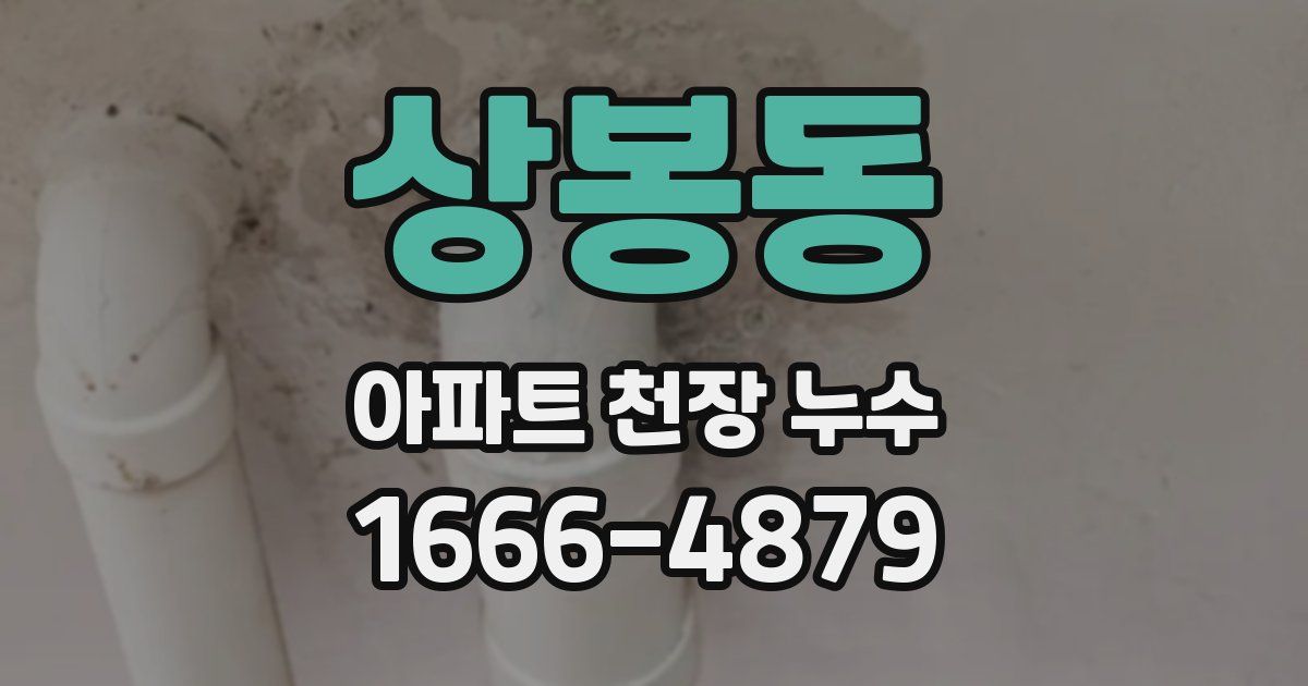 상봉동 아파트 천장 누수