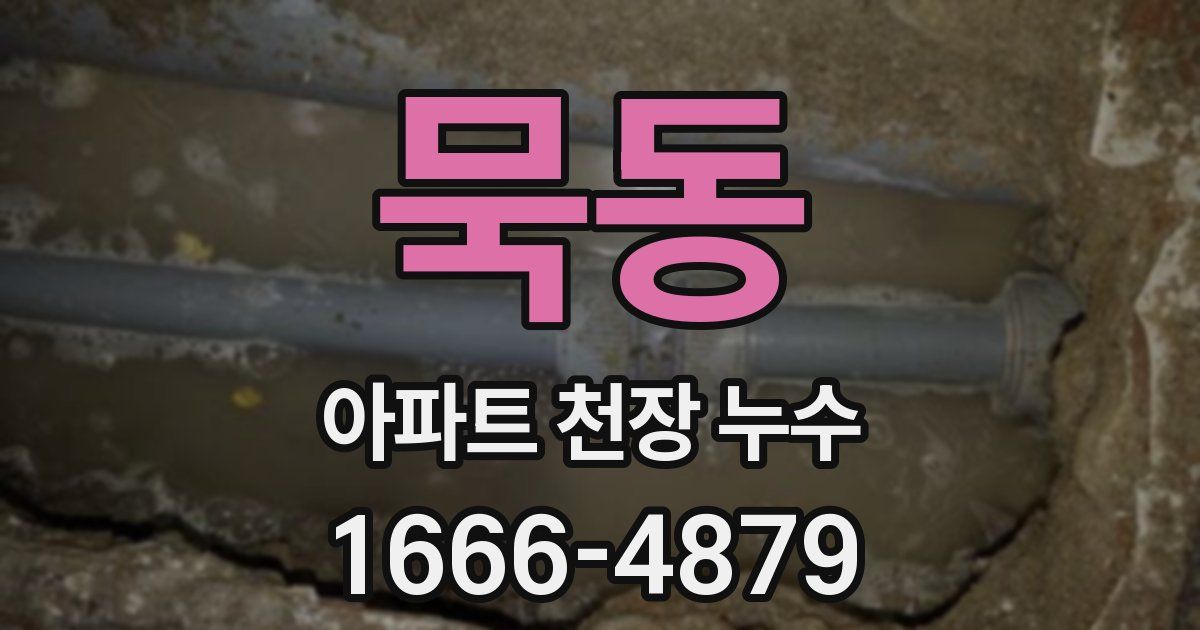 묵동 아파트 천장 누수