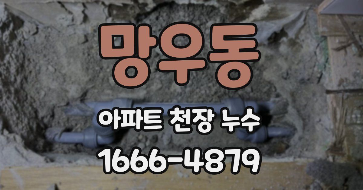 망우동 아파트 천장 누수
