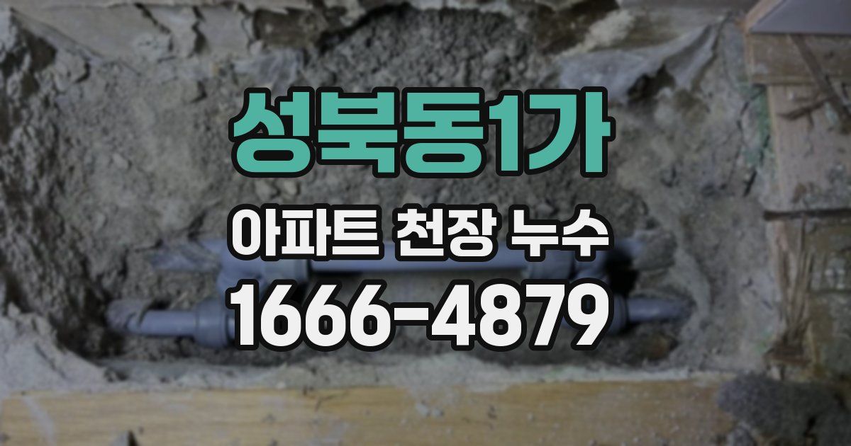 성북동1가 아파트 천장 누수