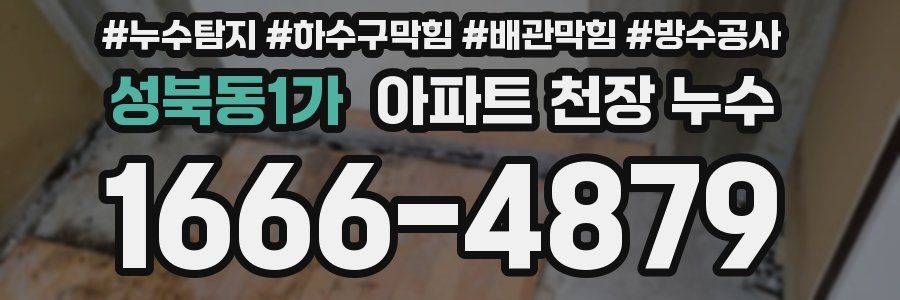 성북동1가 아파트 천장 누수