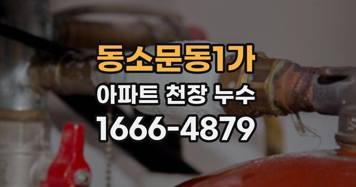 동소문동1가 아파트 천장 누수
