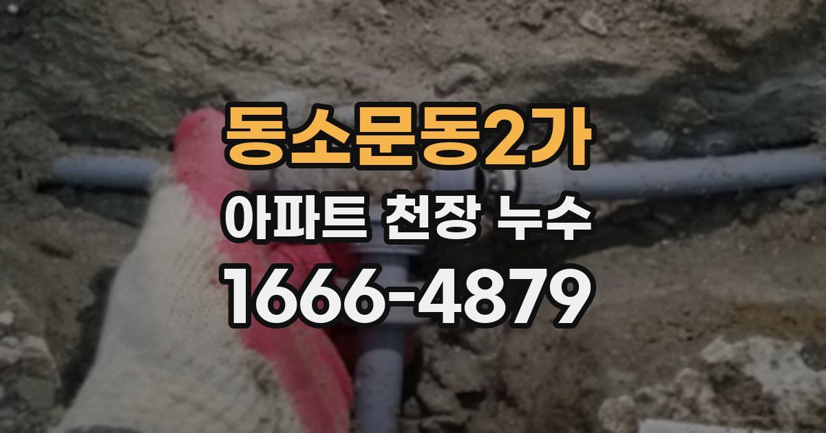 동소문동2가 아파트 천장 누수