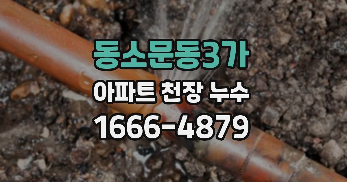 동소문동3가 아파트 천장 누수