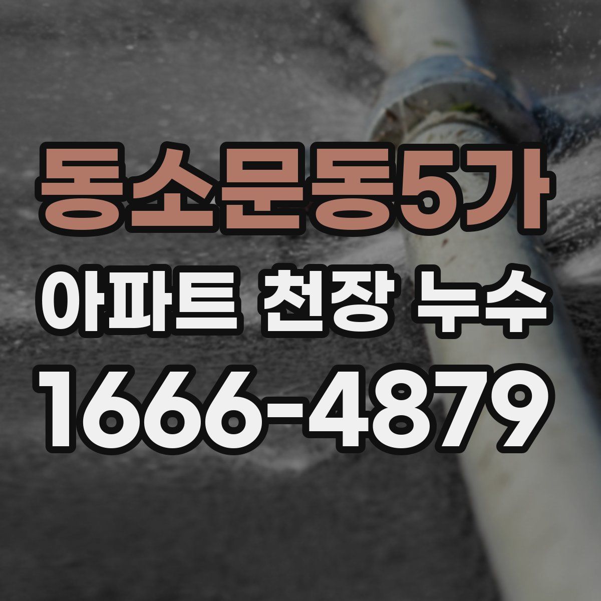 동소문동5가 아파트 천장 누수