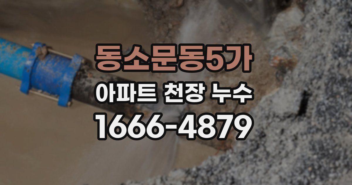 동소문동5가 아파트 천장 누수
