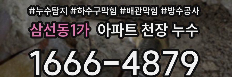 삼선동1가 아파트 천장 누수