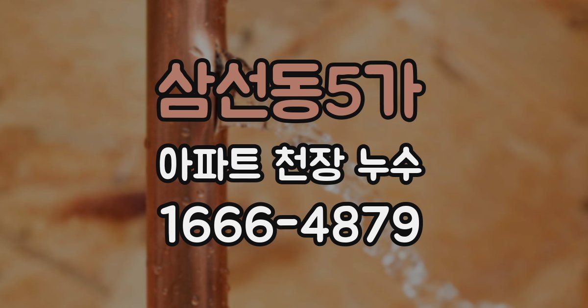 삼선동5가 아파트 천장 누수