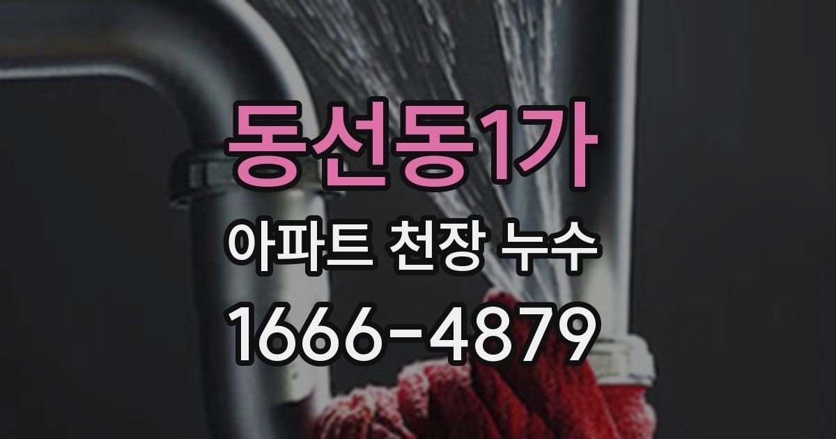 동선동1가 아파트 천장 누수