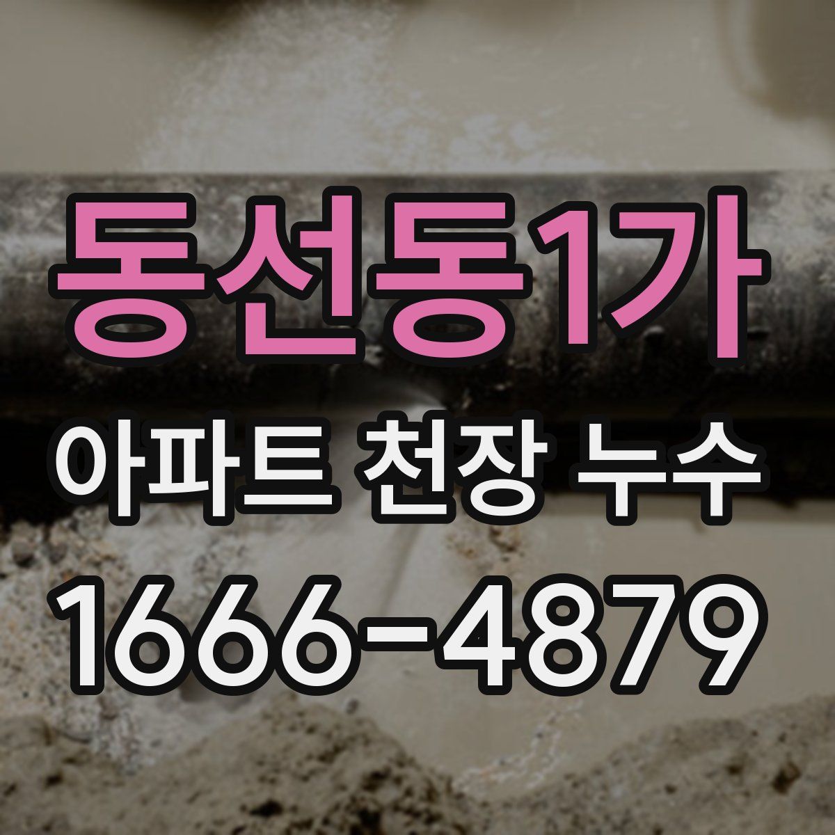 동선동1가 아파트 천장 누수