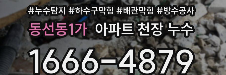 동선동1가 아파트 천장 누수