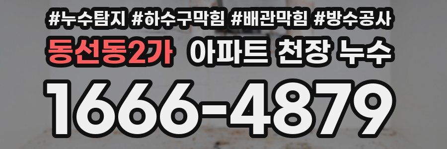 동선동2가 아파트 천장 누수