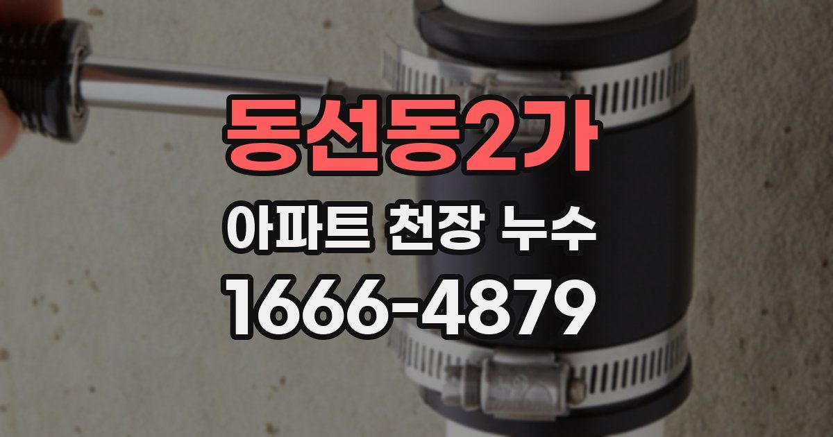 동선동2가 아파트 천장 누수