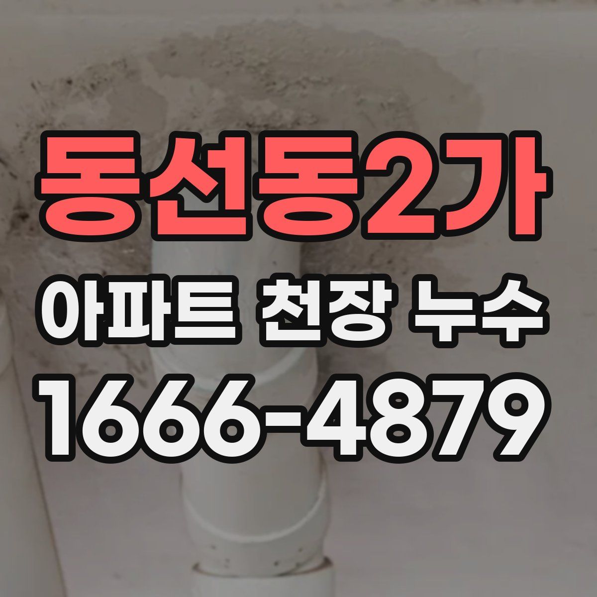 동선동2가 아파트 천장 누수