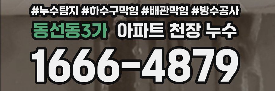 동선동3가 아파트 천장 누수