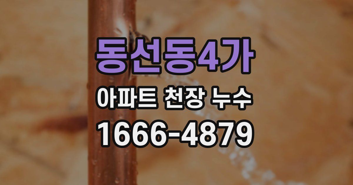 동선동4가 아파트 천장 누수
