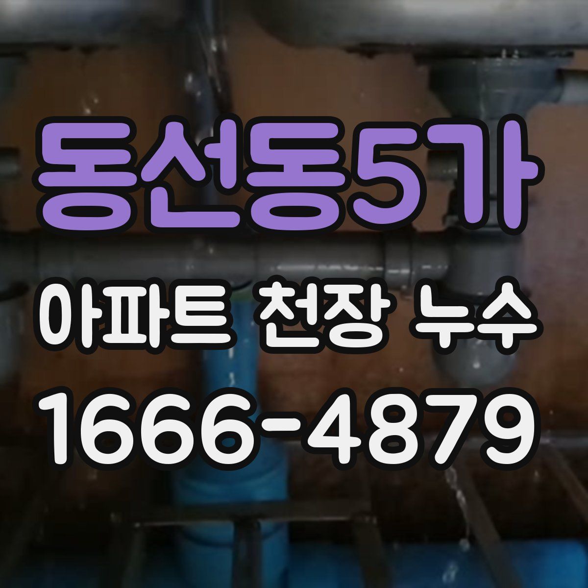 동선동5가 아파트 천장 누수