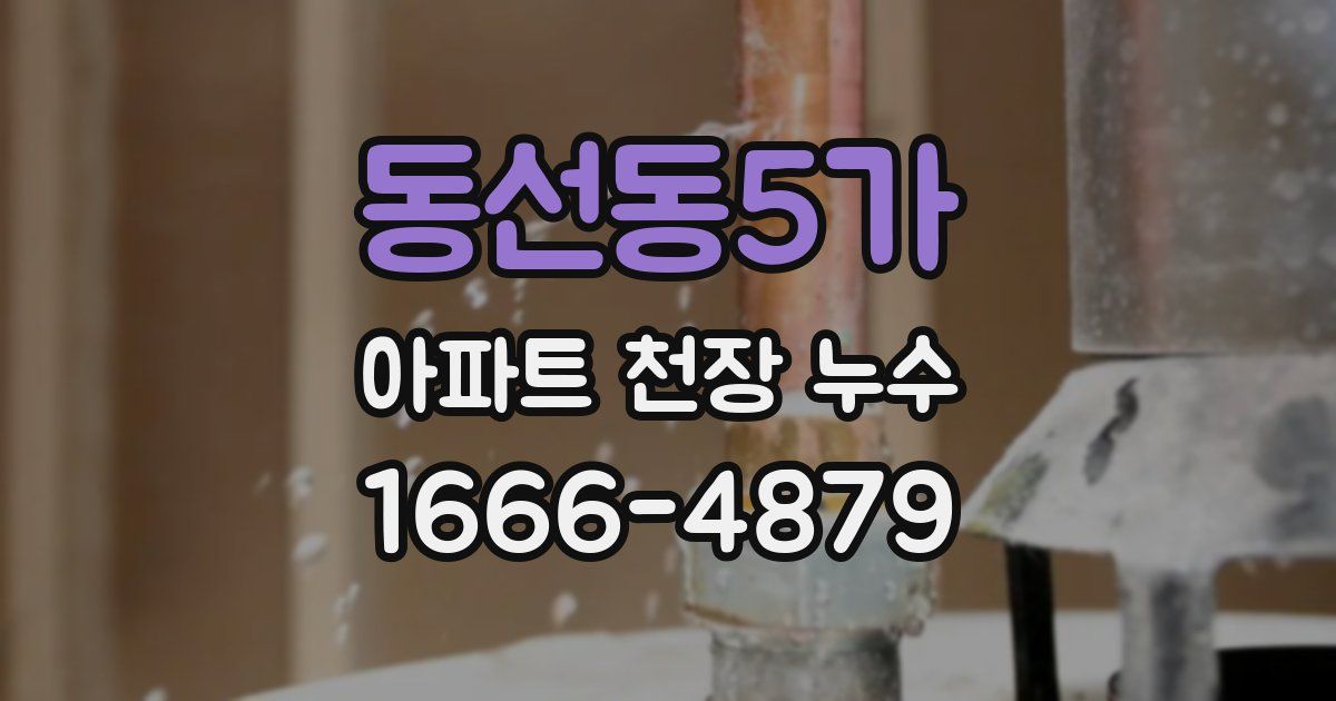 동선동5가 아파트 천장 누수