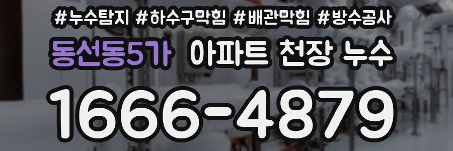 동선동5가 아파트 천장 누수