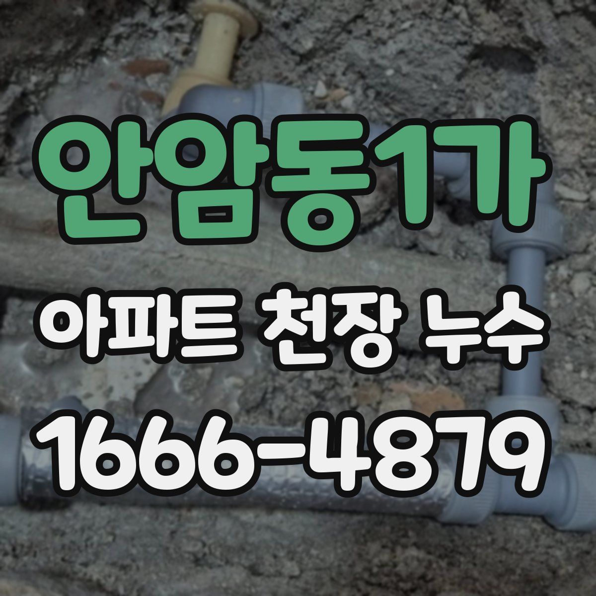 안암동1가 아파트 천장 누수
