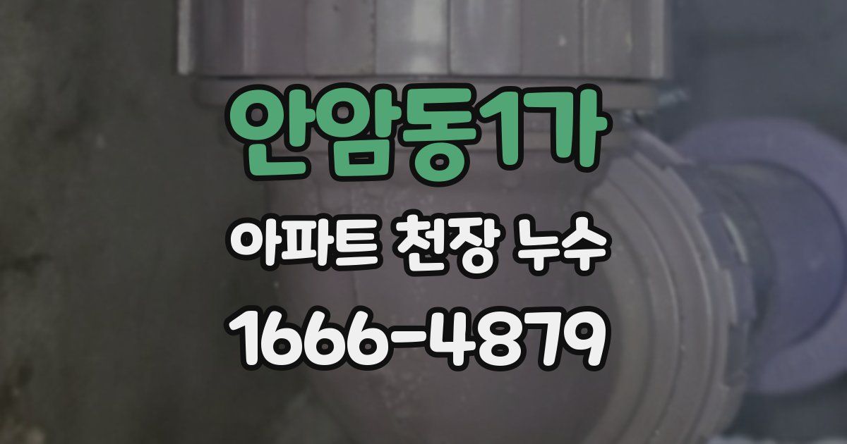 안암동1가 아파트 천장 누수
