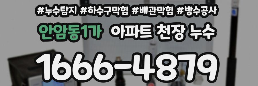 안암동1가 아파트 천장 누수