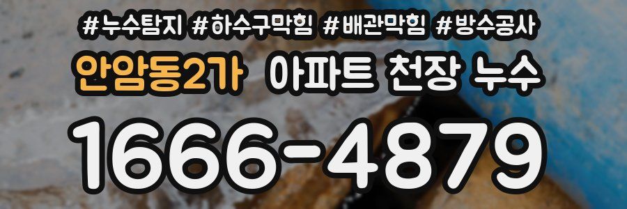 안암동2가 아파트 천장 누수