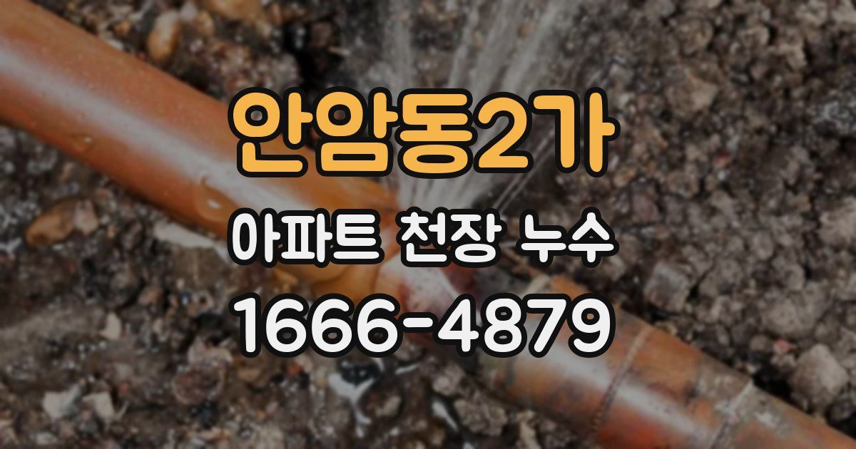 안암동2가 아파트 천장 누수