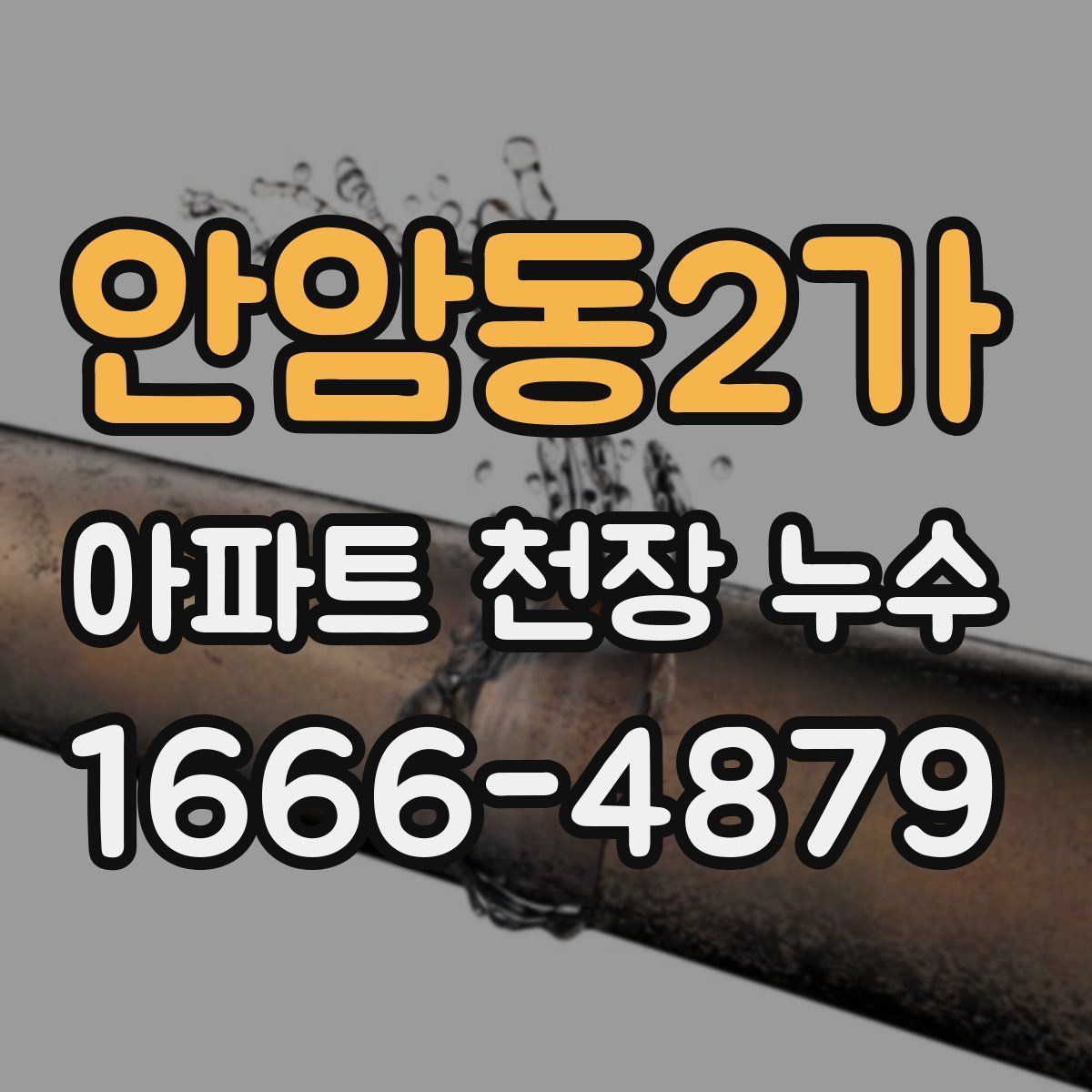 안암동2가 아파트 천장 누수
