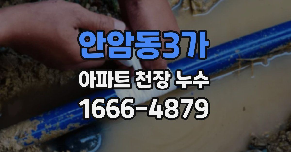 안암동3가 아파트 천장 누수