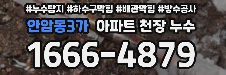 안암동3가 아파트 천장 누수