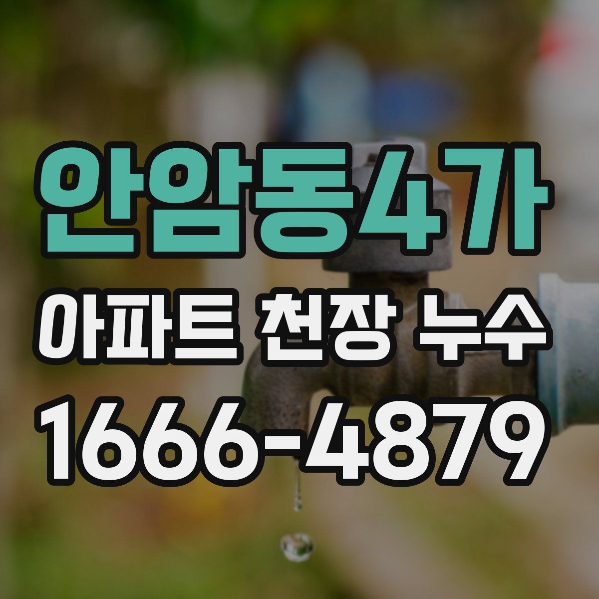 안암동4가 아파트 천장 누수