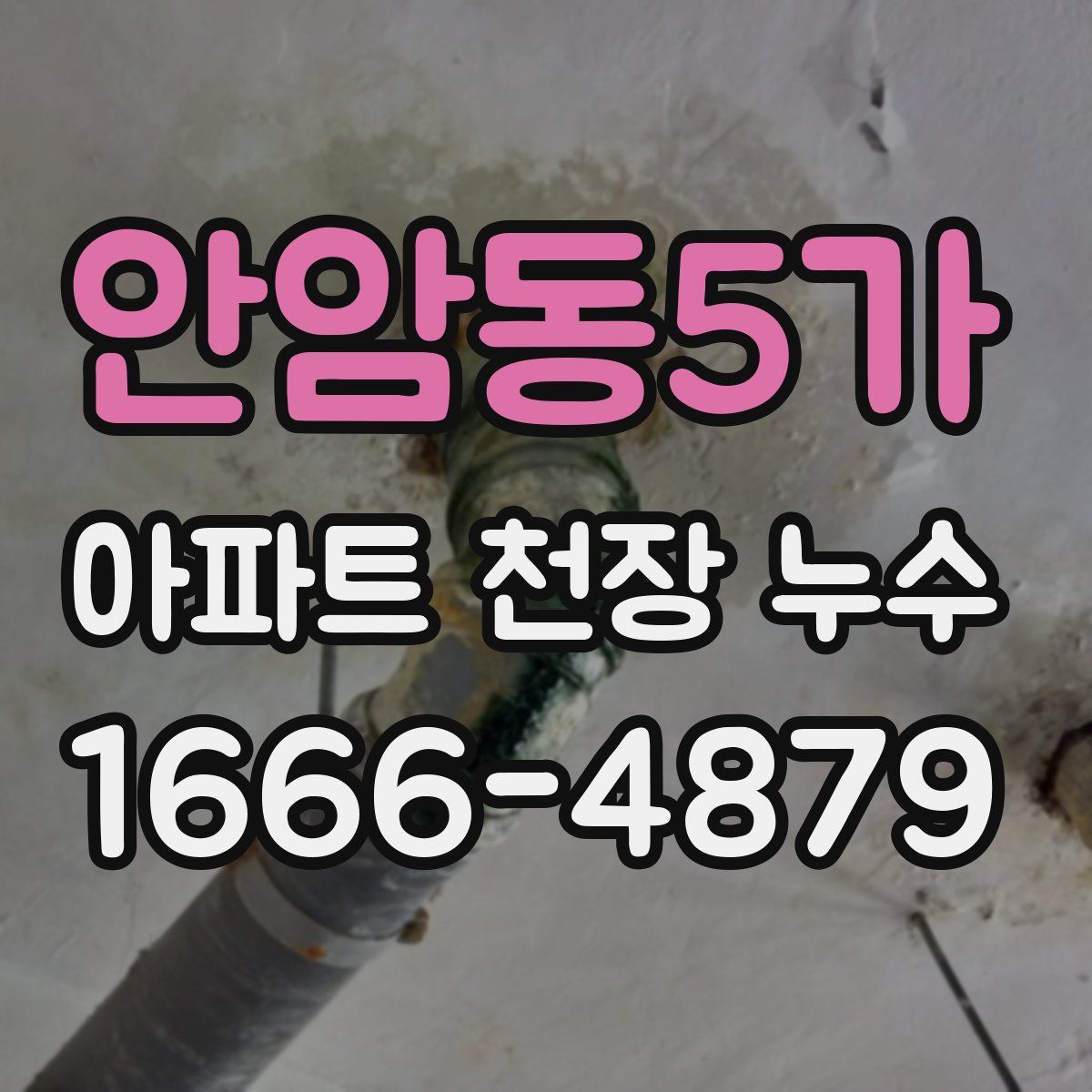 안암동5가 아파트 천장 누수