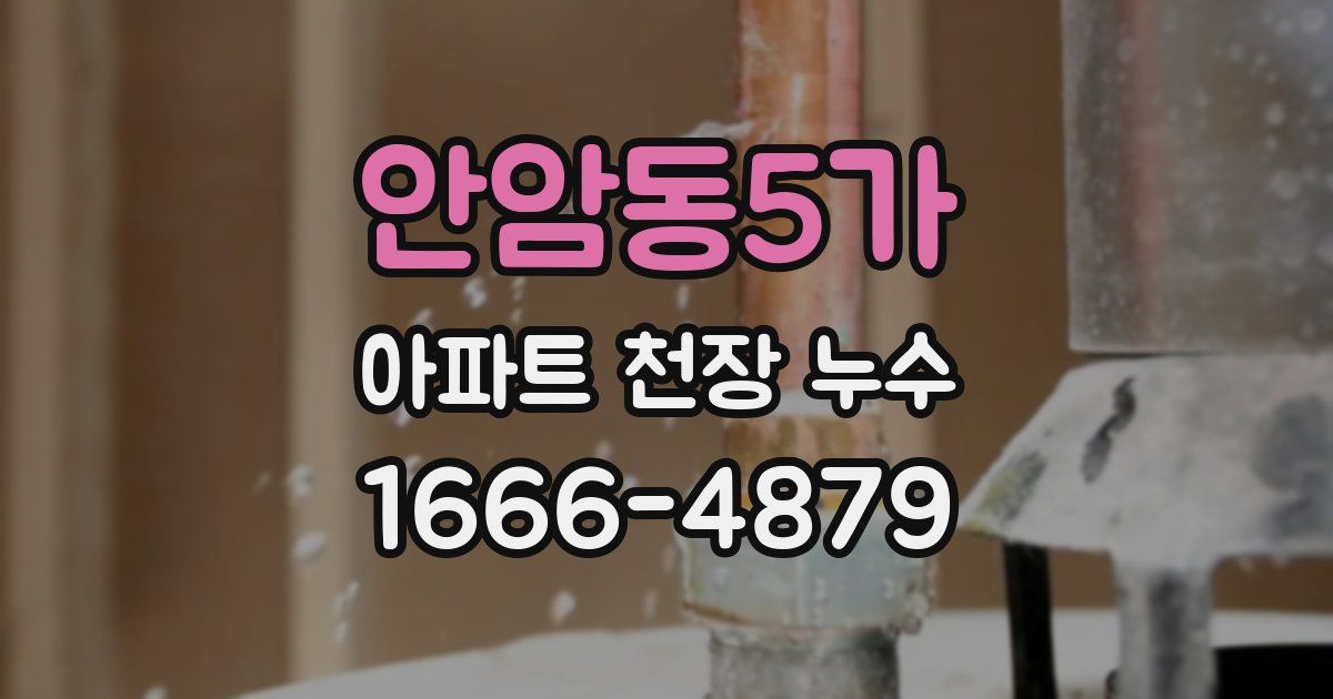 안암동5가 아파트 천장 누수