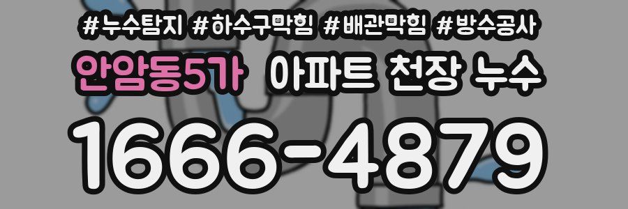 안암동5가 아파트 천장 누수