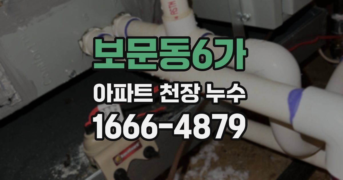 보문동6가 아파트 천장 누수