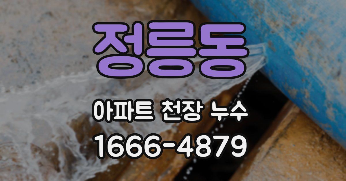 정릉동 아파트 천장 누수