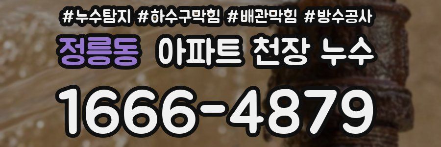 정릉동 아파트 천장 누수